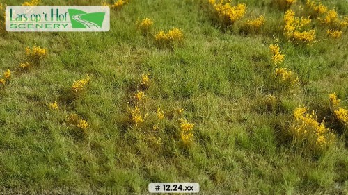 Grasland met dotterbloemen, 29 x 38 cm