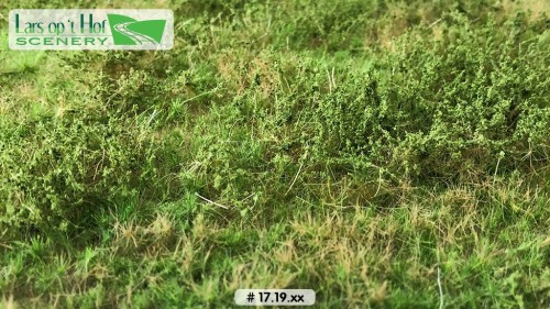 Wilde berm lente, 29 x 38 cm