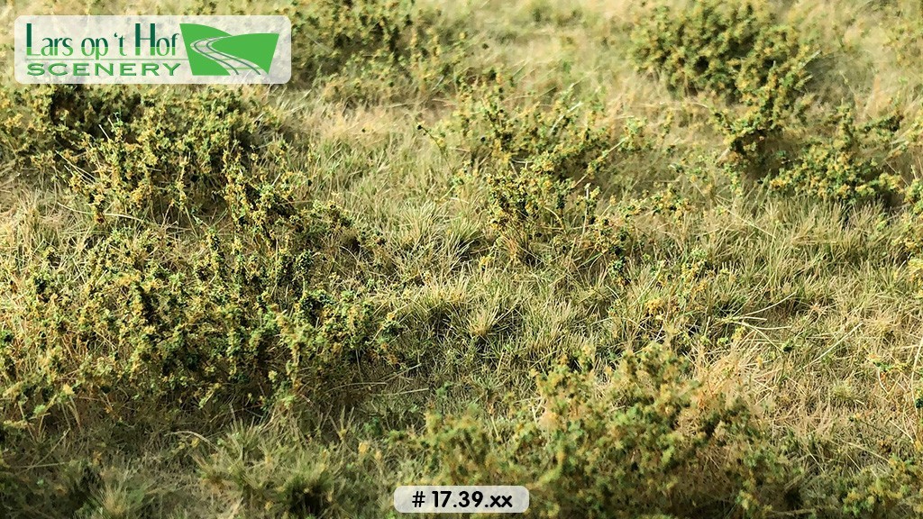 Wilde berm herfst, 38 x 58 cm Wilde berm herfst, 38 x 58 cm