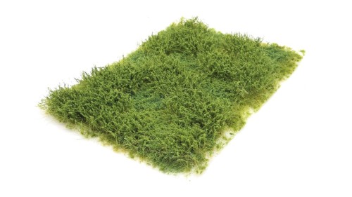 Wilde berm met onkruid zomer, 15 x 21 cm