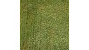 Aardappelveld bloeiend - 18,5 x 26,5 cm