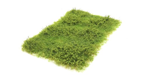 Wilde berm met onkruid lente, 15 x 21 cm