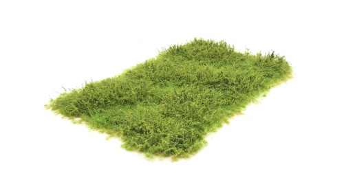 Wilde berm met onkruid herfst, 15 x 21 cm