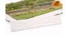 Bosgrond & spoor diorama - 6 december 2025