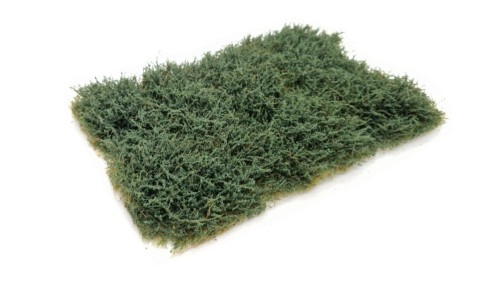 Struiken fletsgroen - hoog, 15 x 21 cm