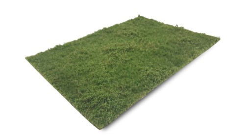 Weiland met onkruid zomer - kort, 42 x 58 cm