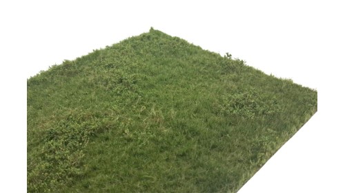 Weiland met onkruid zomer - kort, 29 x 42 cm