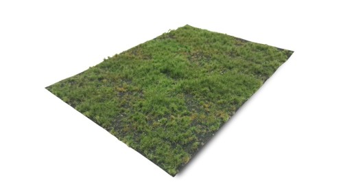 Bosbodem - type 1, 29 x 42 cm