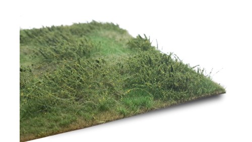 Wilde berm lente, 42 x 58 cm