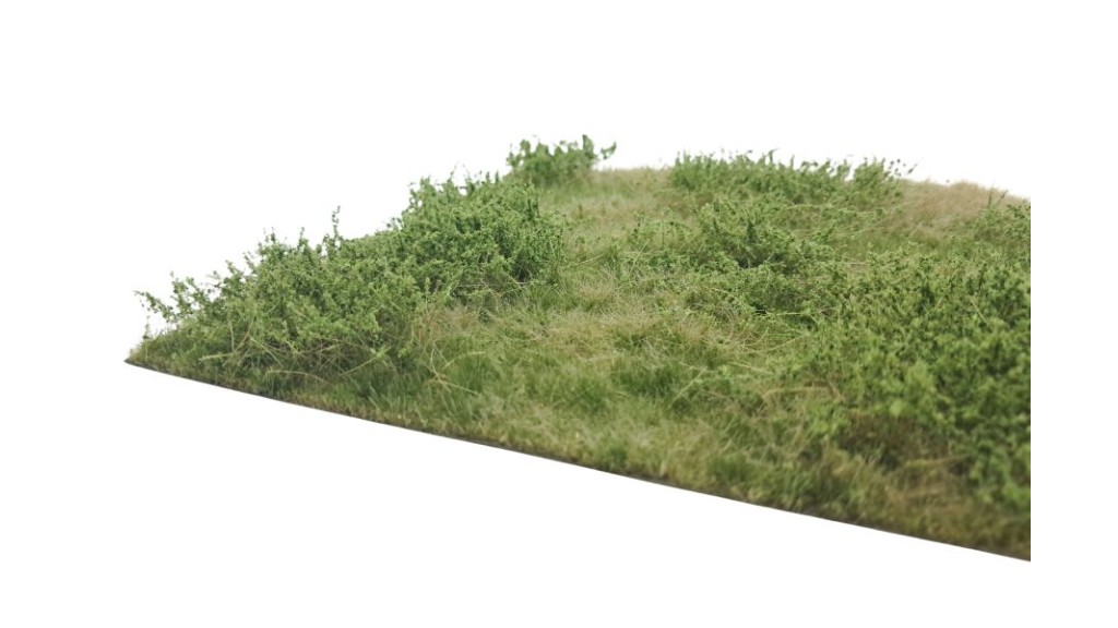 Wilde berm zomer, 29 x 42 cm