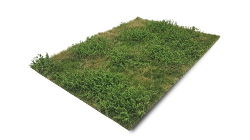 Wilde berm zomer, 29 x 42 cm