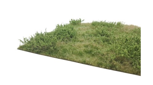 Wilde berm zomer, 21 x 29 cm