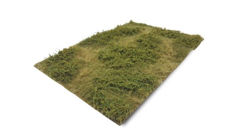 Wilde berm herfst, 42 x 58 cm