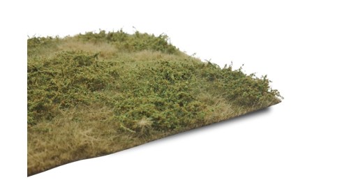 Wilde berm herfst, 29 x 42 cm