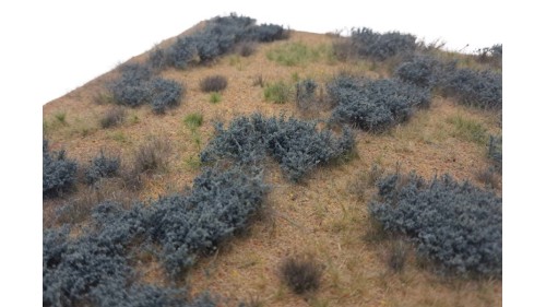 Woestijn met Bijvoet - type 2, 42 x 58 cm