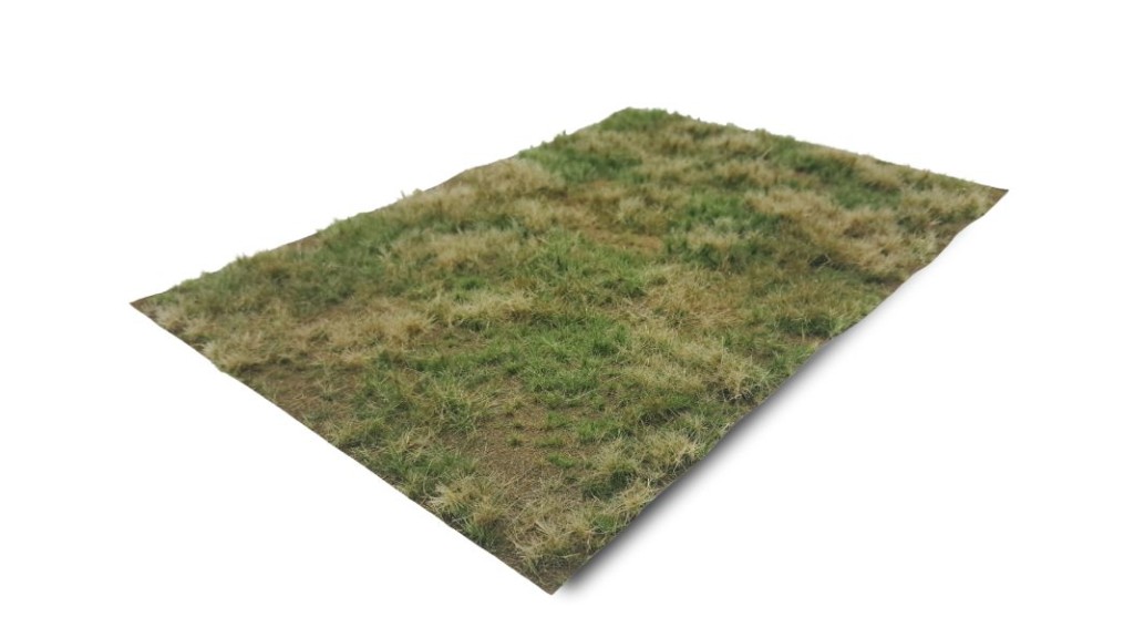 Grasland zomer - wild, dorre grond, 42 x 58 cm