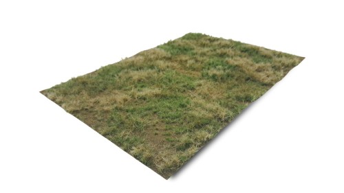 Grasland zomer - wild, dorre grond, 42 x 58 cm