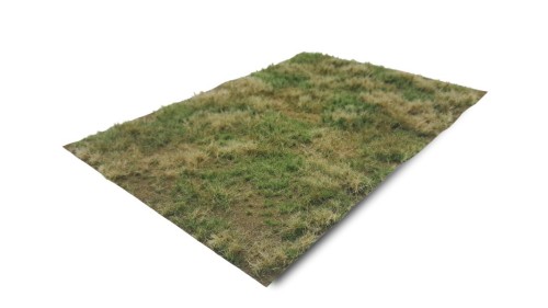 Grasland zomer - wild, dorre grond, 29 x 42 cm