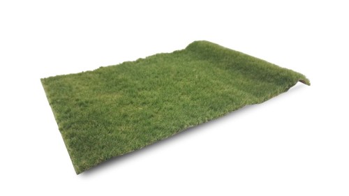 Weiland zomer - lang, 42 x 58 cm