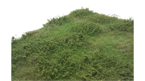 Wilde berm lente, 29 x 42 cm