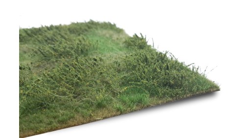 Wilde berm lente, 21 x 29 cm