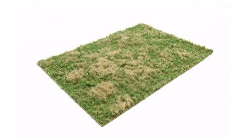 Grasland lente - wild, 21 x 29 cm