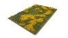 Grasland met dotterbloemen, 29 x 42 cm