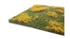 Grasland met dotterbloemen, 29 x 42 cm