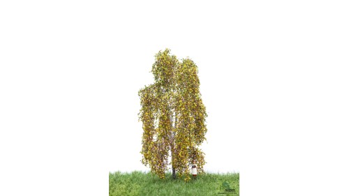 Berk, 12-16 cm, herfst, geschikt voor H0/TT
