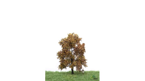 Eik, 12-16 cm, herfst, geschikt voor H0/TT