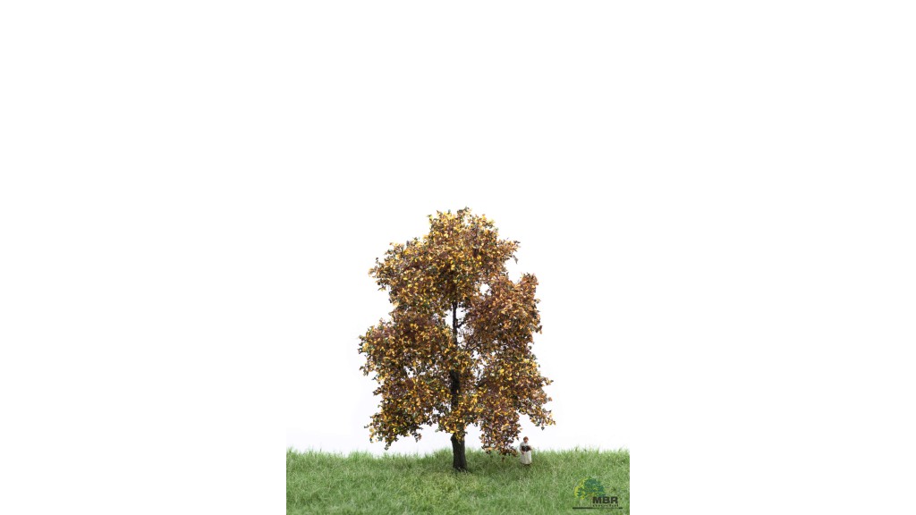 Eik, 12-16 cm, herfst, geschikt voor H0/TT