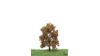 Eik, 12-16 cm, herfst, geschikt voor H0/TT