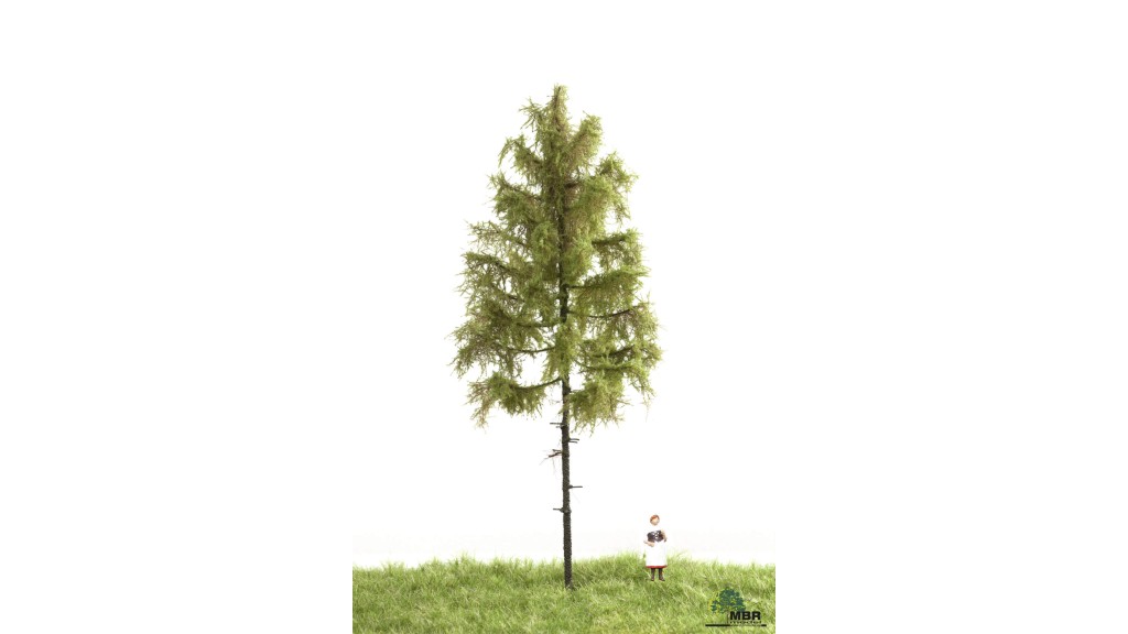 Bos lariks, 18-22 cm, geschikt voor H0