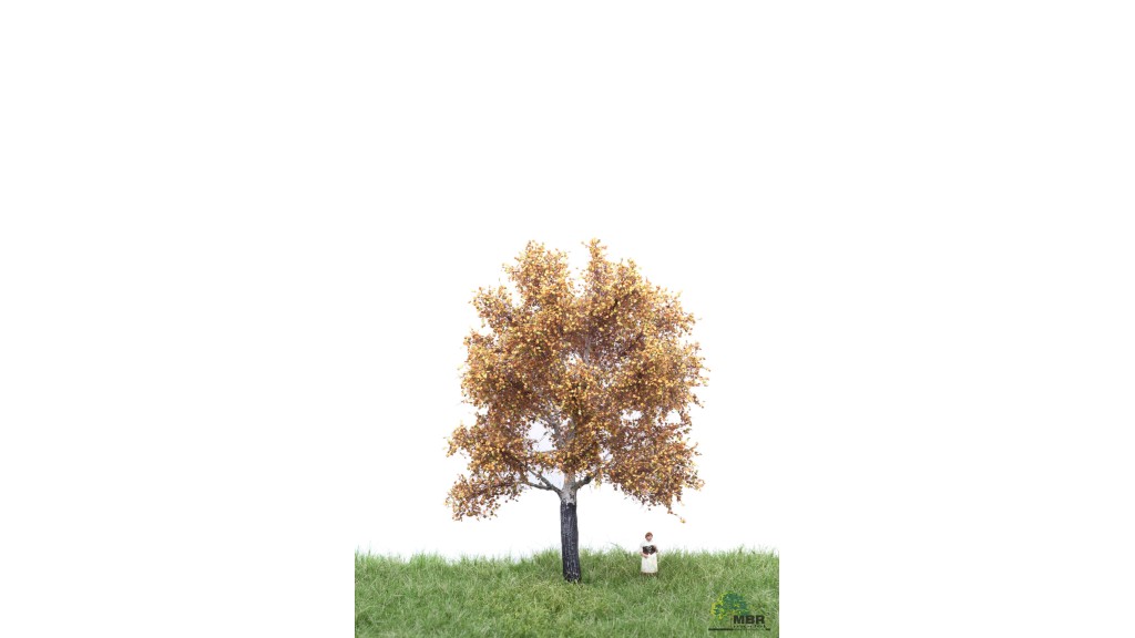 Zilverpopulier, 12-16 cm, herfst, geschikt voor H0/TT