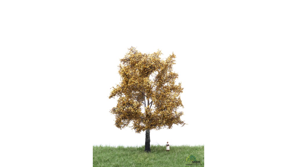 Zilverpopulier, 18-22 cm, herfst, geschikt voor H0