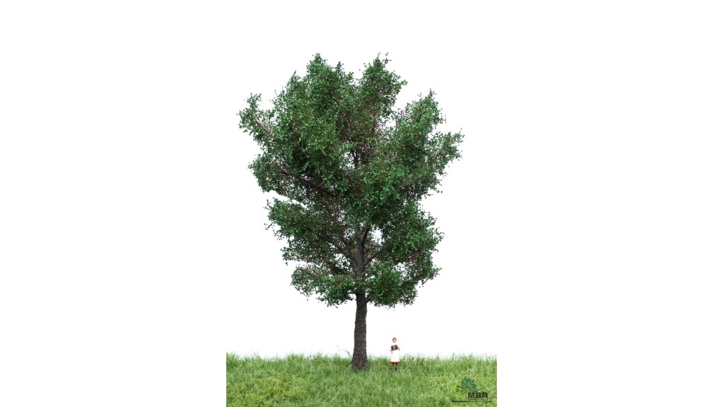 Canadese populier, 18-22 cm, geschikt voor H0
