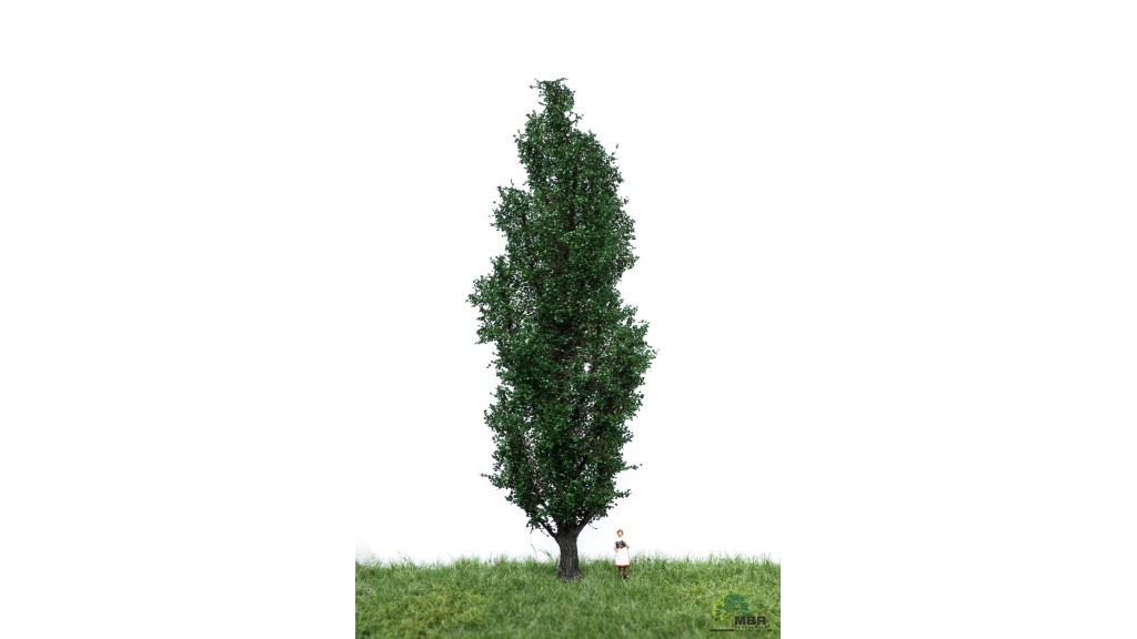 Italiaanse populier, 18-22 cm, geschikt voor H0