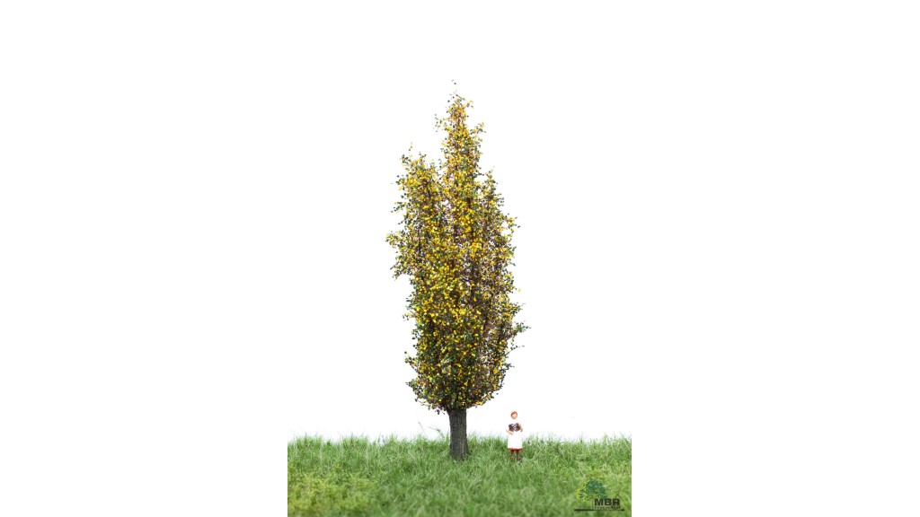 Italiaanse populier, 12-16 cm, geschikt voor H0/TT