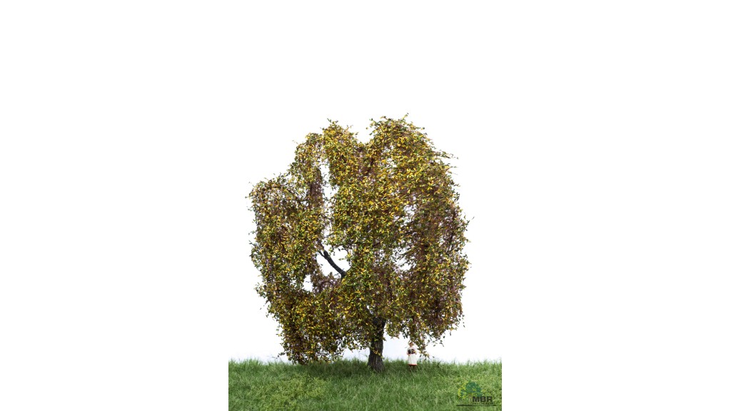 Treurwilg, 18-22 cm, herfst