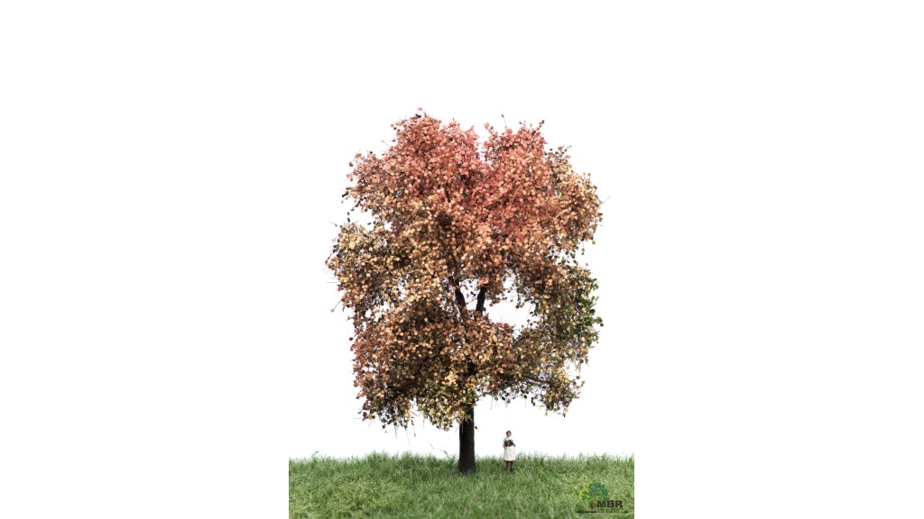 Esdoorn, 18-22 cm, herfst, geschikt voor H0