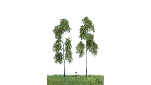 Bos berken, 10 cm, 2 stuks, geschikt voor H0/TT