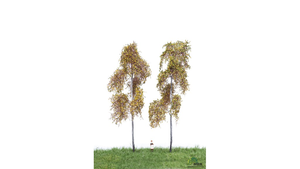 Bos berken, 10 cm, 2 stuks, herfst, geschikt voor H0/TT