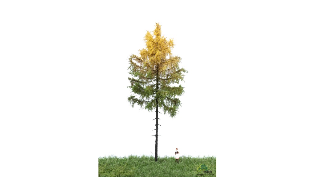 Bos lariks, 18-22 cm, herfst, geschikt voor H0