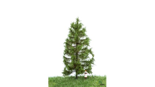 Lariks, 12-16 cm, geschikt voor H0/TT