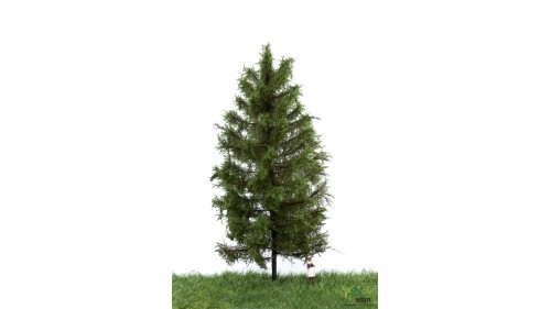 Lariks, 18-22 cm, geschikt voor H0