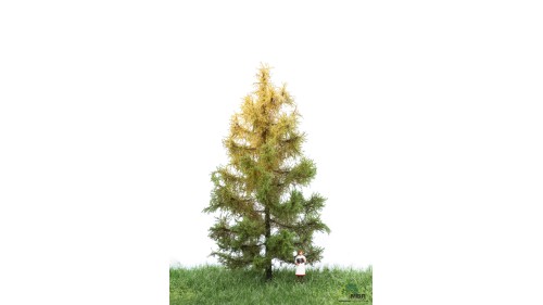 Lariks, 12-16 cm, herfst, geschikt voor H0/TT