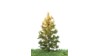 Lariks, 12-16 cm, herfst, geschikt voor H0/TT