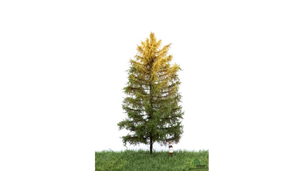 Lariks, 18-22 cm, herfst, geschikt voor H0
