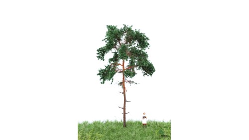 Grove den, 12-16 cm, geschikt voor H0/TT