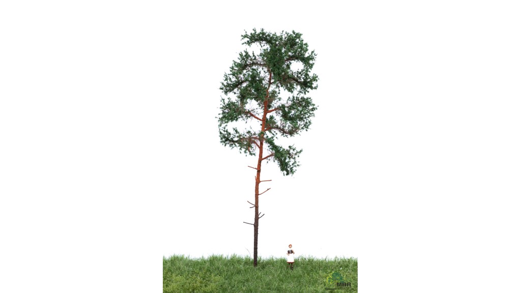 Grove den, 18-22 cm, geschikt voor H0
